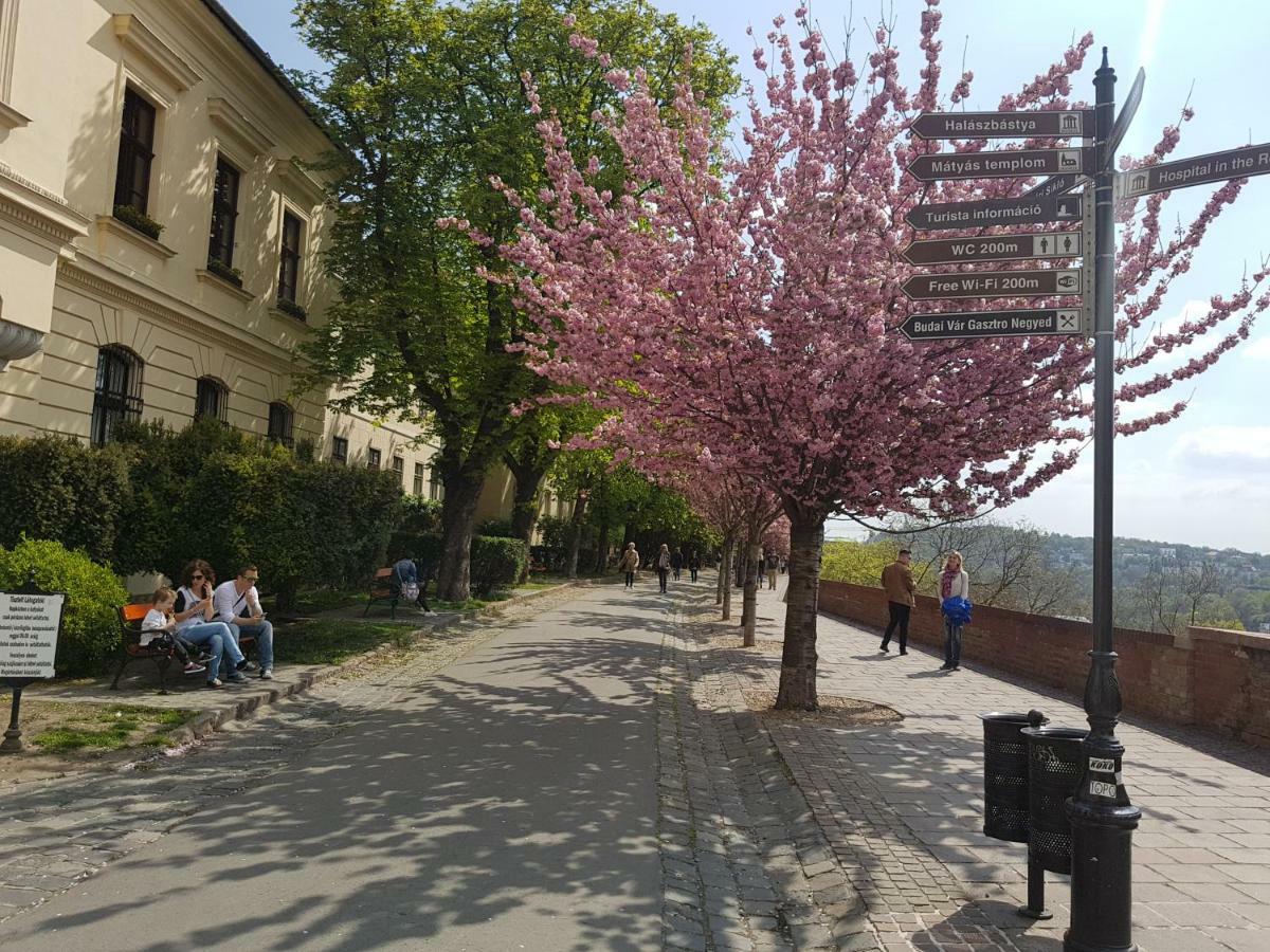 Budasmile Appartment At Buda Castle - Aircon & Free Parking Budapest Ngoại thất bức ảnh